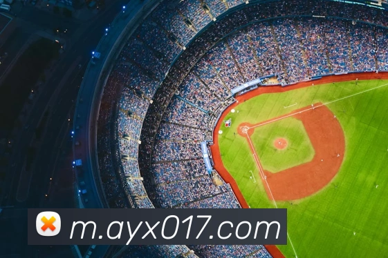爱游戏ayx发展历程